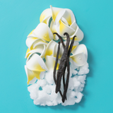 ogx - Coconut Oil Ultra Moisture Lotion